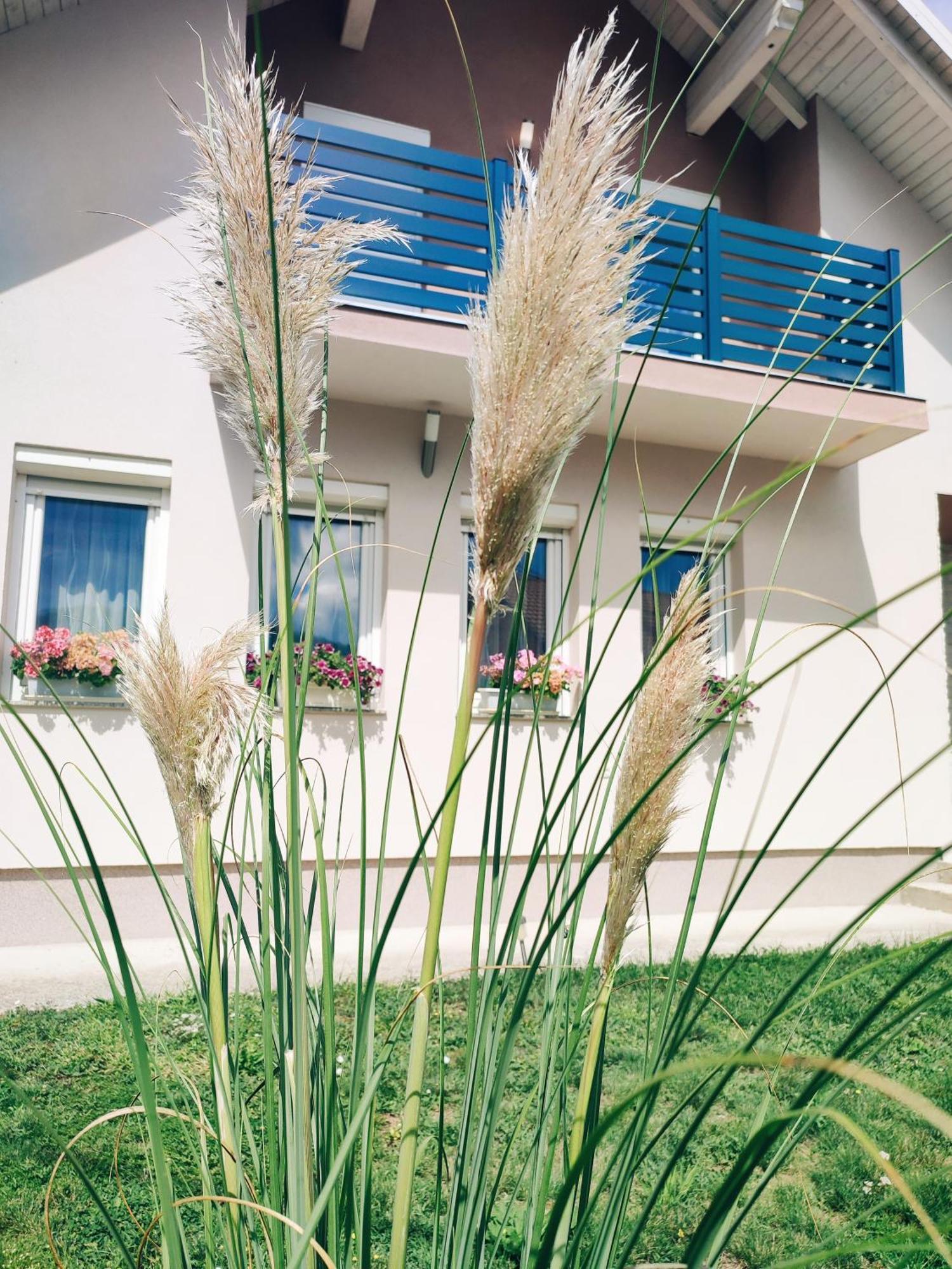 Apartman Swans Otocac Exterior photo